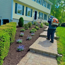 Foundation-Planting-Installation-in-Shelton-CT 4